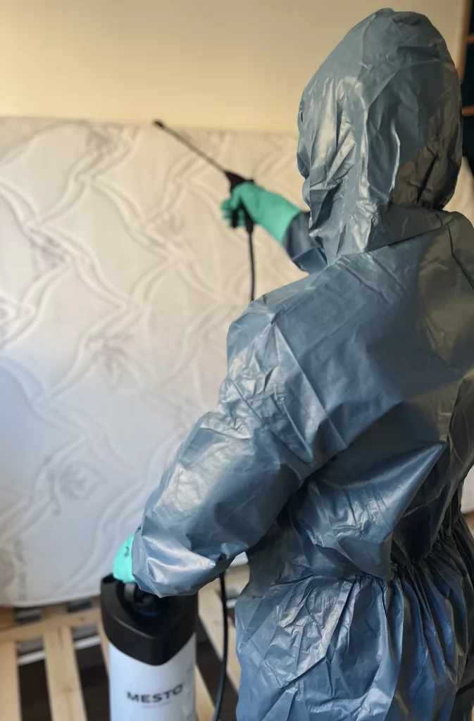 DésinsectisationPunaise de lit Saint-étienne Rhone-Alpes