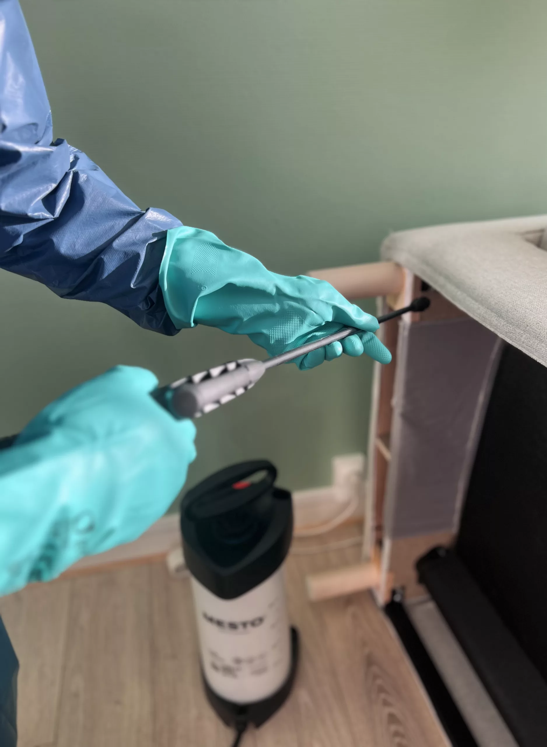 Désinsectisation Saint étienne Rhônes Alpes