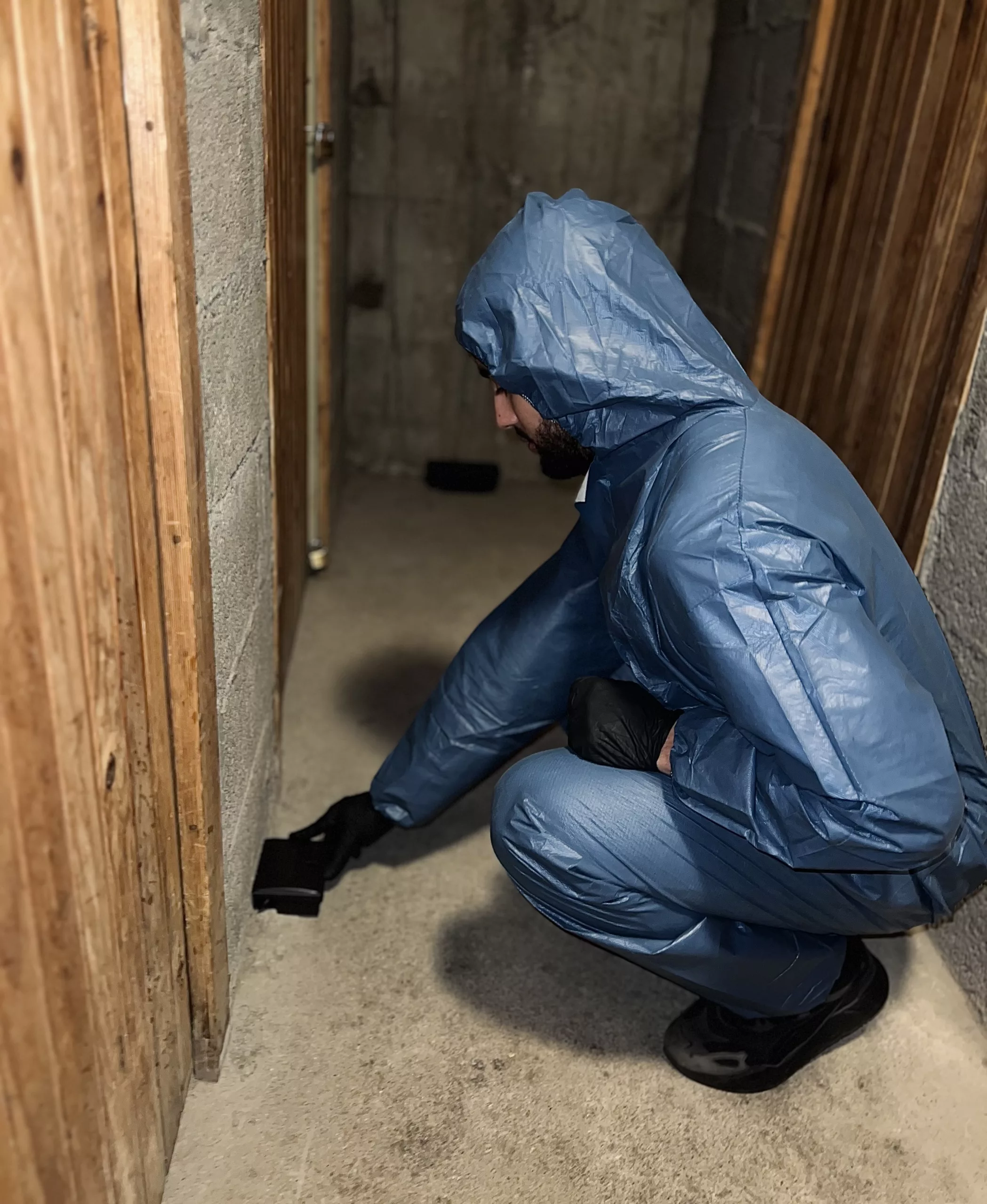 dératisation saint-étienne Dératisation Saint-Étienne