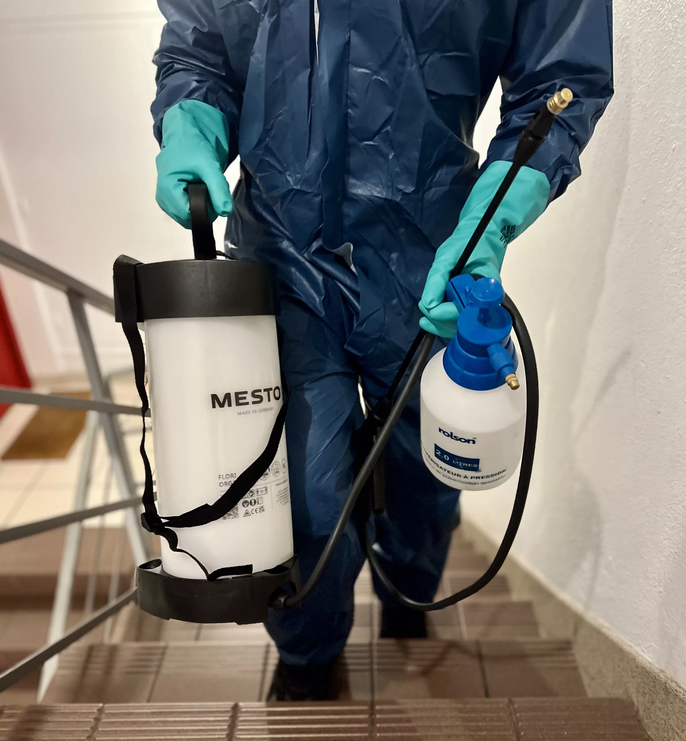 Dératisation Désinsectisation désinfection Saint-Étienne Rhône-Alpes